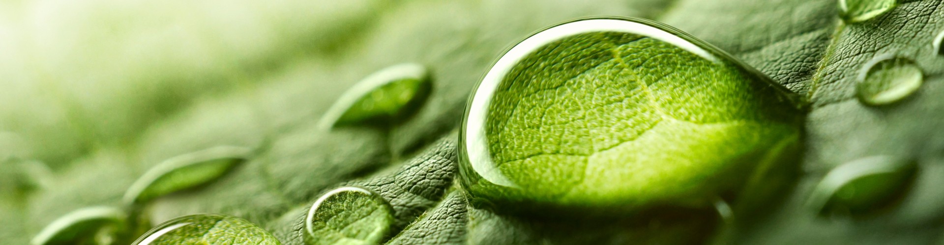 Ciudadanía corporativa